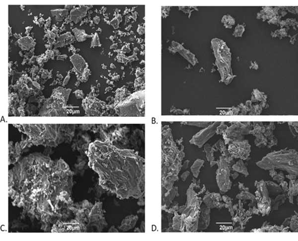 活性炭750放大倍數的SEM圖像